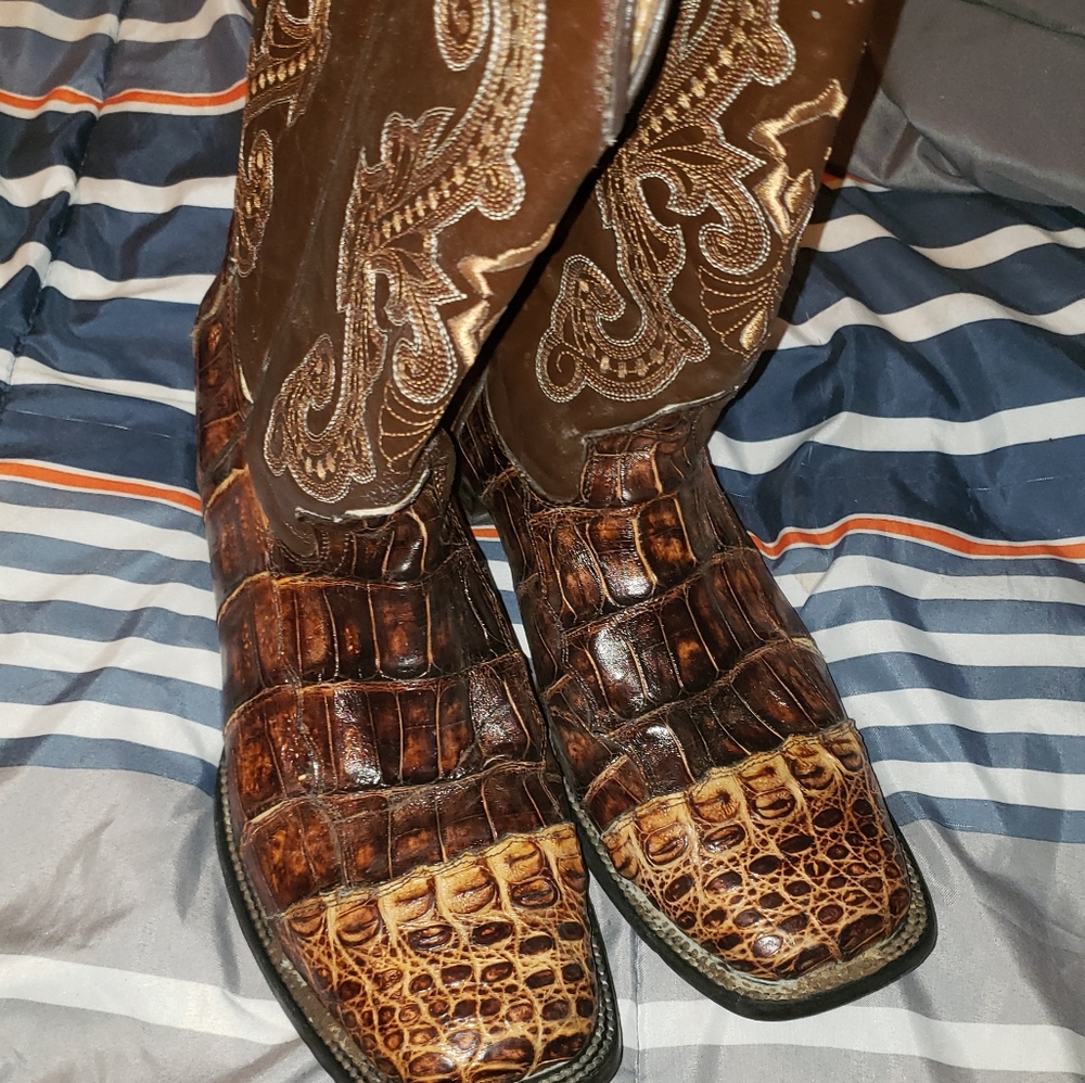 Alligator skin boots